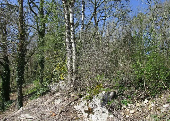 بيت ضيافة De La Melve Milhac