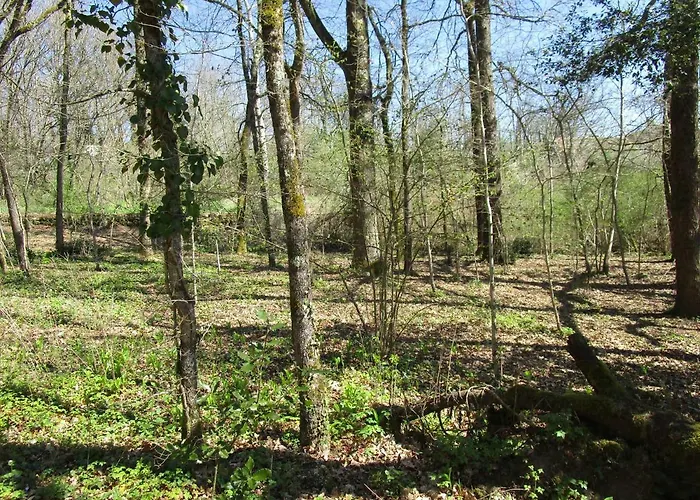 De La Melve בית הארחה Milhac